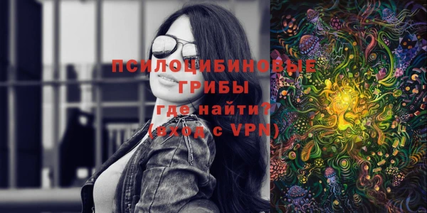 сатива Алзамай