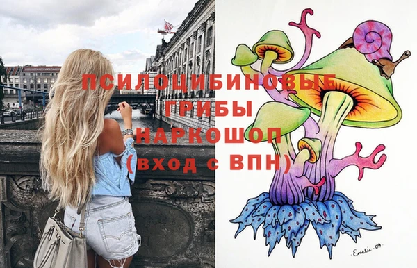 сатива Алзамай